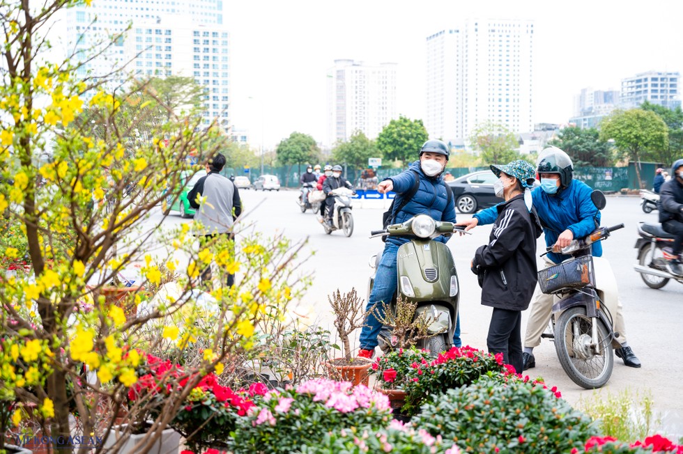 Ngo&agrave;i một số chợ hoa đ&atilde; qu&aacute; nổi tiếng l&acirc;u đời c&aacute;c cửa h&agrave;ng hoa mọc l&ecirc;n như nấm xung quanh H&agrave; Nội, như một cửa h&agrave;ng hoa nhỏ tại đường Dương Đ&igrave;nh Nghệ.