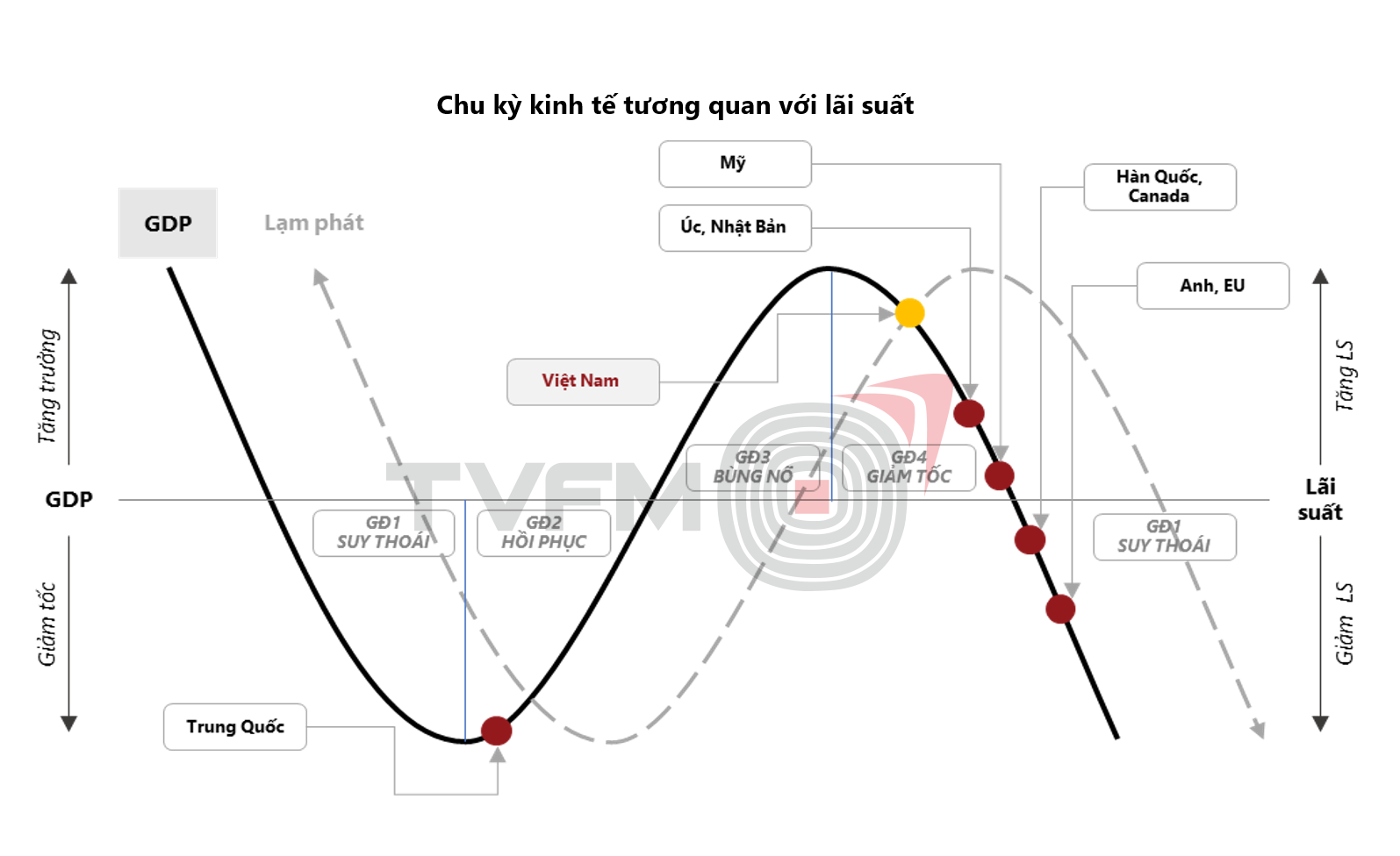 Nguồn: TVFM, Merrill Lynch, RLAM, Fidelity