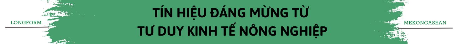 ‘Doanh nghiệp phải dấn thân trên hành trình xây dựng diện mạo mới cho nông nghiệp’