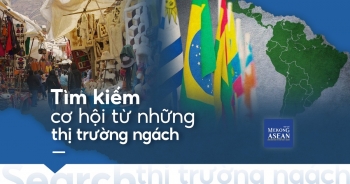 Tìm kiếm cơ hội từ những thị trường ngách