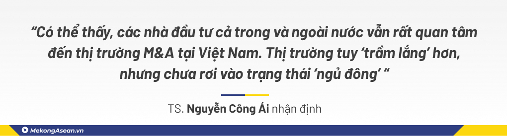 Dòng chảy M&A: Trầm lắng nhưng không 'ngủ đông'