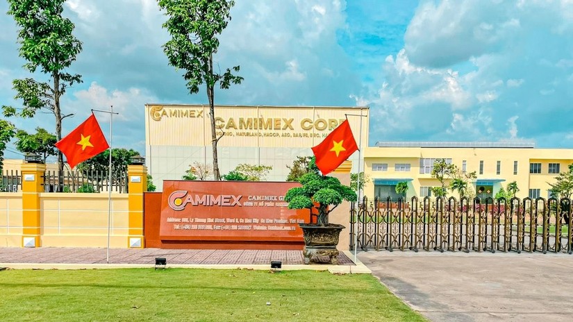 Năm 2022 Camimex chỉ ho&agrave;n th&agrave;nh được 31% kế hoạch lợi nhuận