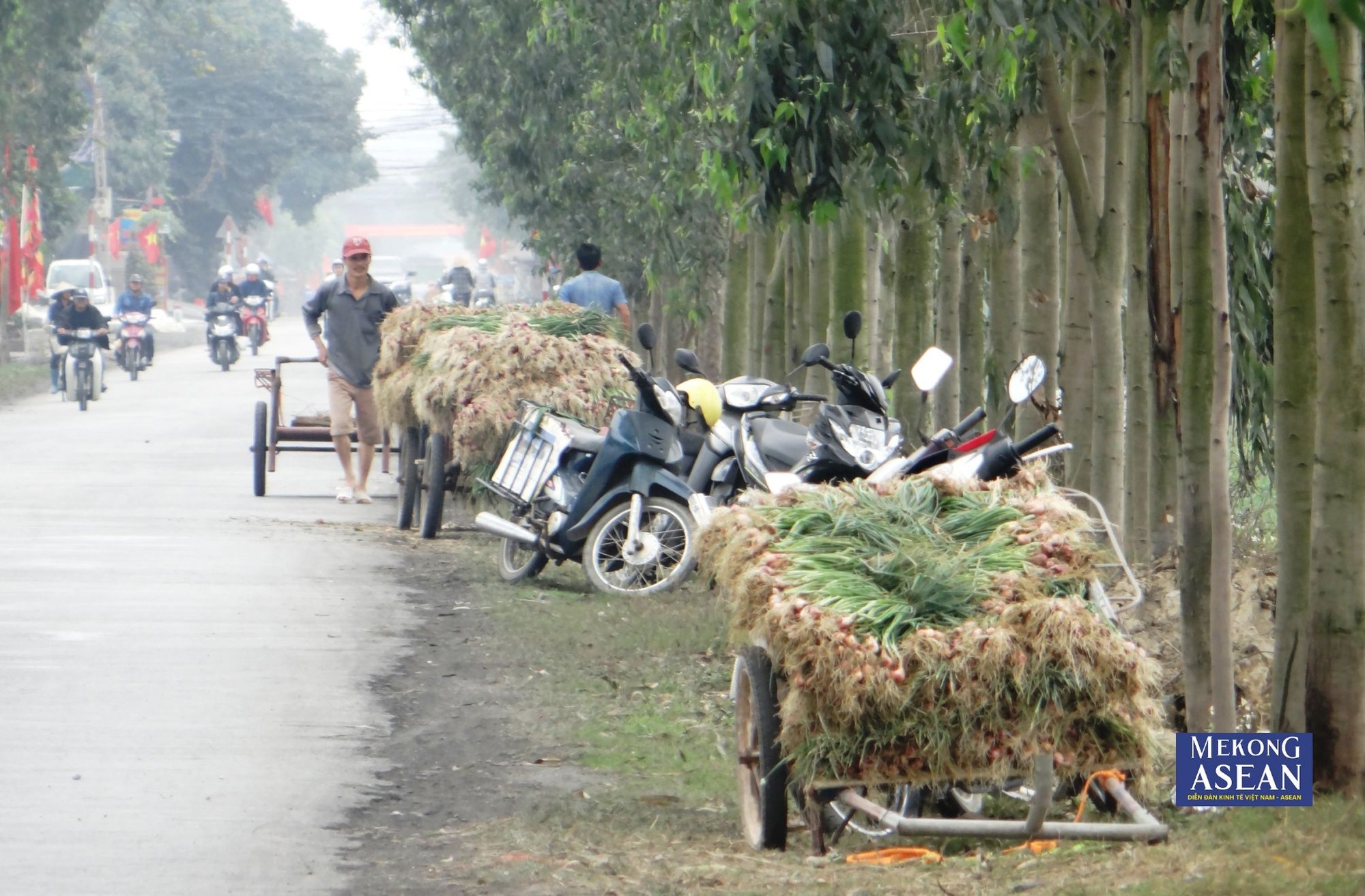 V&agrave;o ng&agrave;y m&ugrave;a, c&aacute;c tuyến đường tr&ecirc;n địa b&agrave;n thị x&atilde; nhộn nhịp hơn bởi những chuyến xe vận chuyển h&agrave;nh, tỏi. (Ảnh tư liệu).