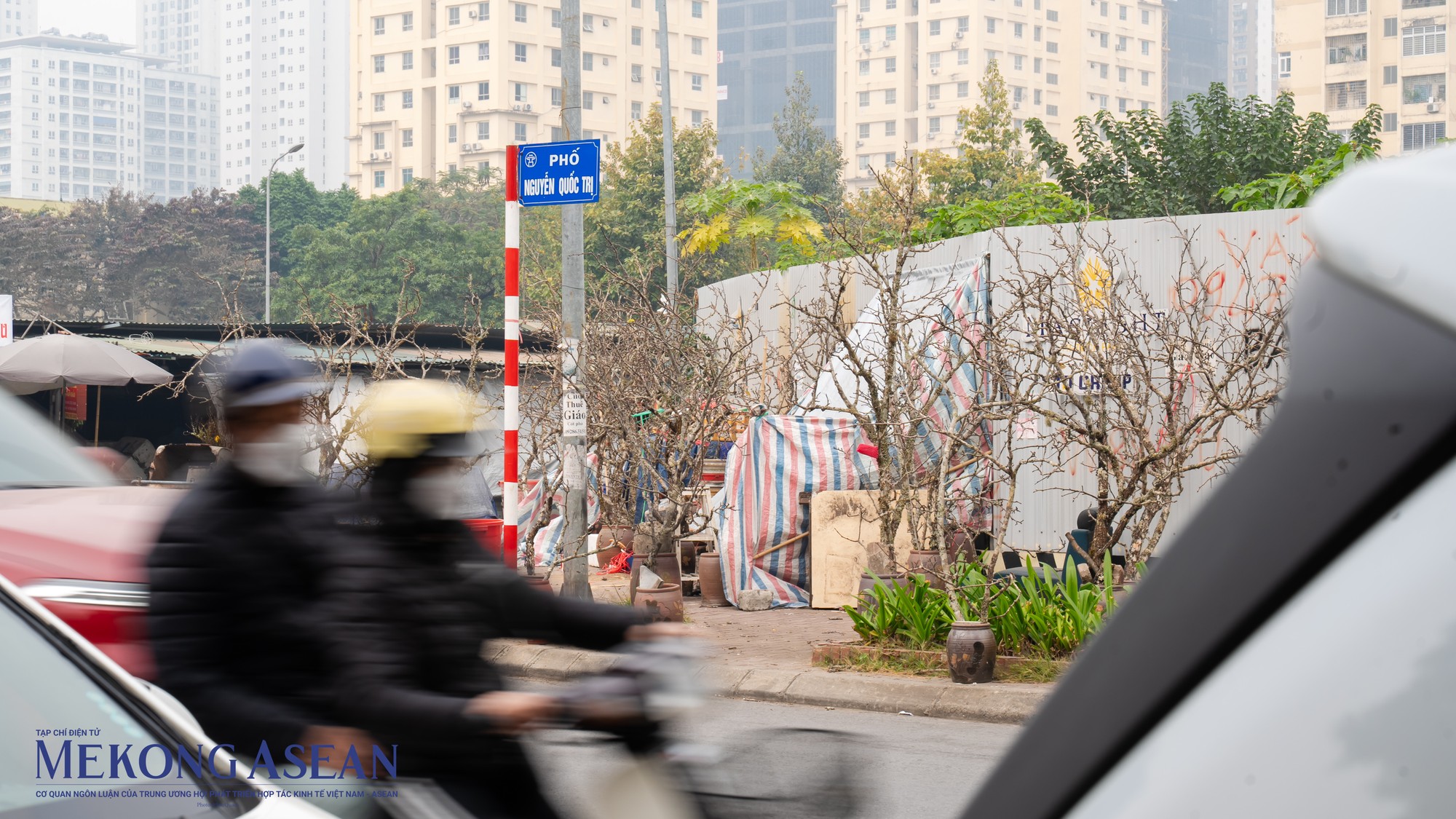 Những c&agrave;nh đ&agrave;o nở sớm được b&agrave;y b&aacute;n ngay cổng chợ, s&aacute;t m&eacute;p đường, thu h&uacute;t sự ch&uacute; &yacute; của người d&acirc;n, rất nhiều người đ&atilde; dừng ch&acirc;n v&agrave;o hỏi mua.