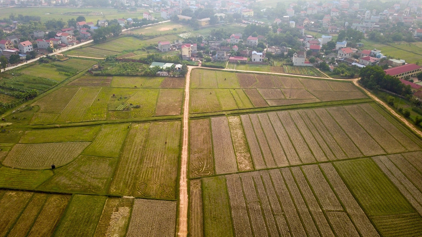 Khu đất lập quy hoạch trường đua ngựa.