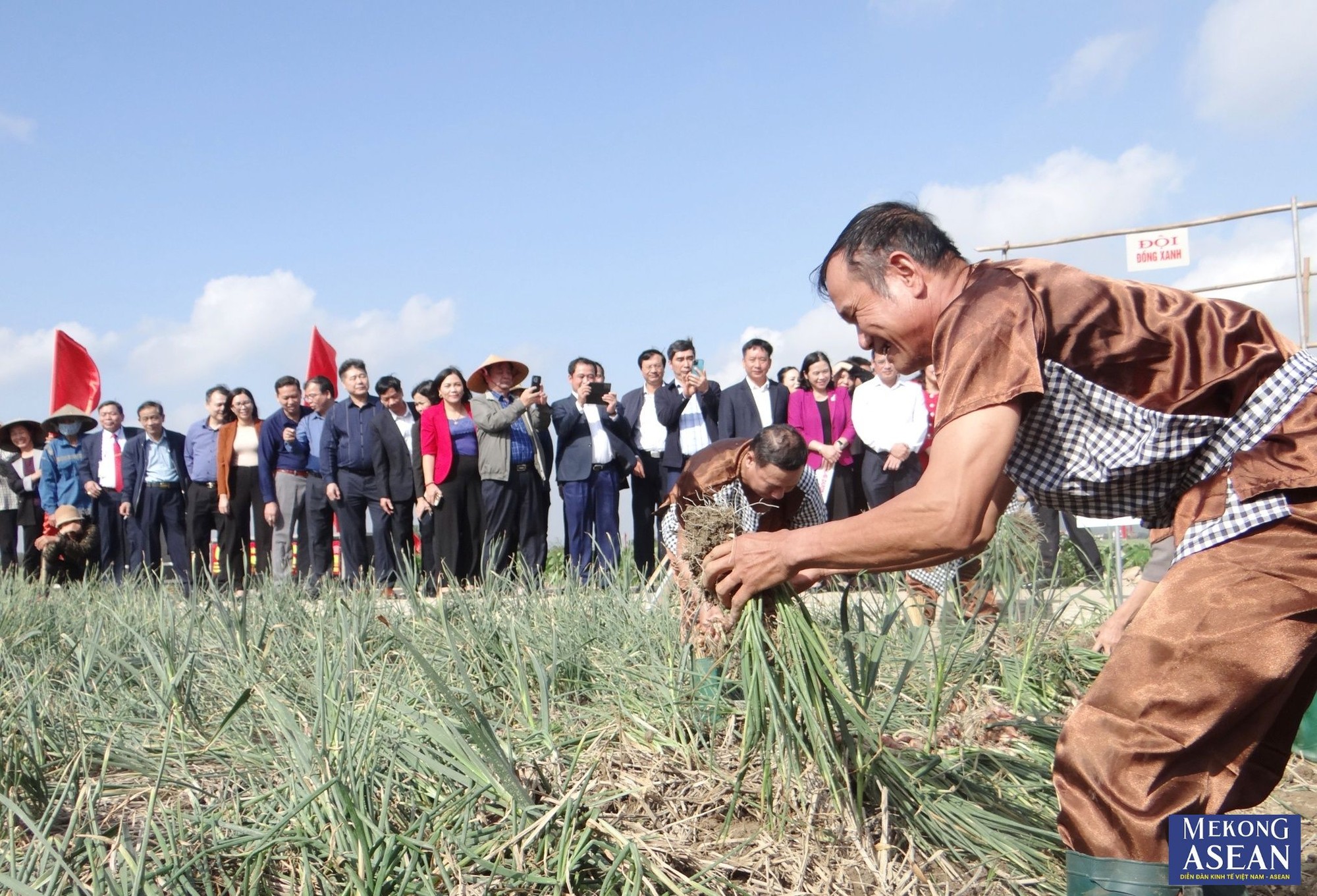 Trong khu&ocirc;n khổ Lễ hội thu hoạch h&agrave;nh, tỏi thị x&atilde; Kinh M&ocirc;n năm 2024 đ&atilde; diễn ra Hội thi thu hoạch h&agrave;nh, tỏi. Hội thi thu h&uacute;t 3 đội chơi c&oacute; t&ecirc;n: Thần tốc, Đồng xanh v&agrave; Hương qu&ecirc;. Mỗi đội c&oacute; 6 th&agrave;nh vi&ecirc;n đều l&agrave; người trồng h&agrave;nh, tỏi ở x&atilde; Hiệp H&ograve;a, thị x&atilde; Kinh M&ocirc;n.