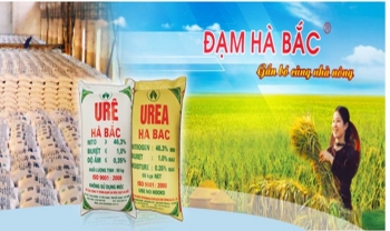 Đạm Hà Bắc tăng trưởng doanh thu 91% sau nhiều quý thua lỗ