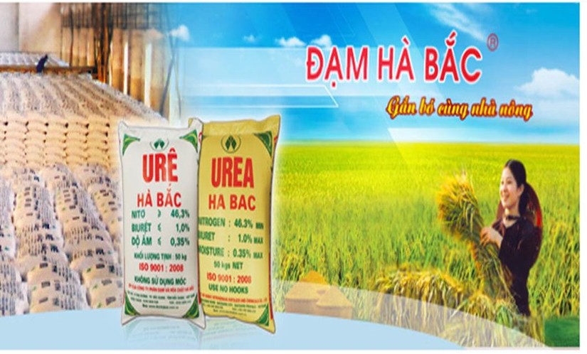 Đạm H&agrave; Bắc tăng trưởng doanh thu 91% sau nhiều qu&yacute; thua lỗ