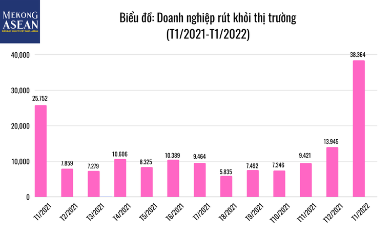 Bức tranh doanh nghiệp tháng 1/2022 tiếp tục khởi sắc