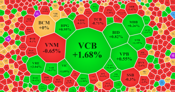 VN-Index ‘xanh vỏ đỏ lòng’, VNZ tiếp tục tăng trần sau khi khớp lệnh 100 đơn vị