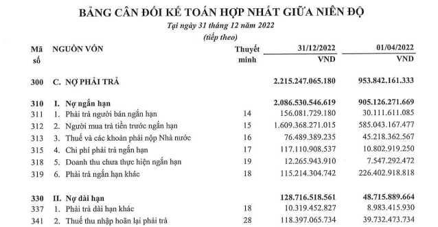 Cơ cấu nợ vay của CRV kh&ocirc;ng ghi nhận bất cứ khoản vay t&agrave;i ch&iacute;nh n&agrave;o. Ảnh: BCTC CRV