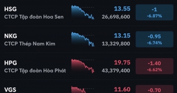 VN-Index lao dốc, HPG giảm gần hết biên độ khi khối ngoại đảo chiều bán ròng