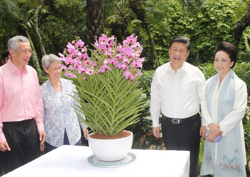 Chủ tịch Trung Quốc Tập Cận B&igrave;nh v&agrave; phu nh&acirc;n B&agrave;nh Lệ Viện b&ecirc;n chậu lan Papilionanda Xi Jinping-Peng Liyuan. Ảnh:Asia One