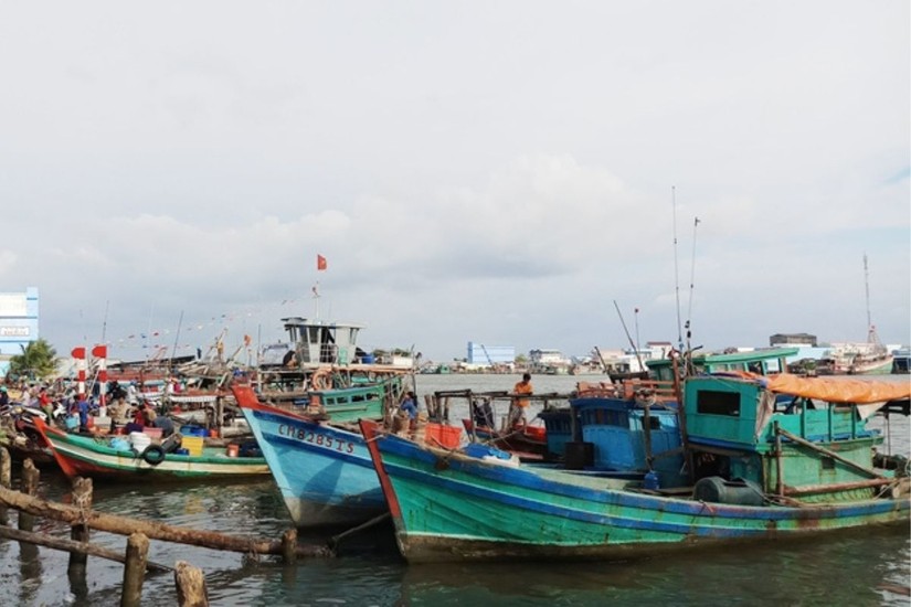 C&agrave; Mau ki&ecirc;n quyết xử l&yacute; nghi&ecirc;m vi phạm để gỡ &amp;amp;apos;thẻ v&agrave;ng&amp;amp;apos; IUU