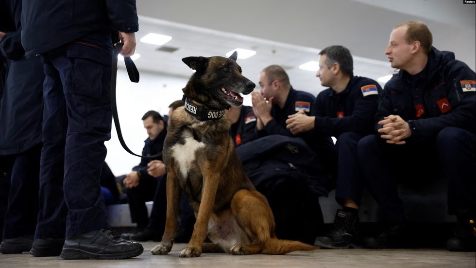 Ch&uacute; ch&oacute; cứu hộ thuộc đội cứu hộ Serbia đang chờ đợi tại s&acirc;n bay Adana Sakirpasa tại Adana, Thổ Nhĩ Kỳ. Ảnh: Reuters