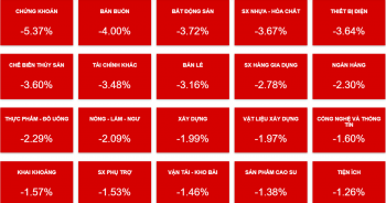 VN-Index rũ sạch thành quả, HQC khớp lệnh gần 11% cổ phiếu lưu hành