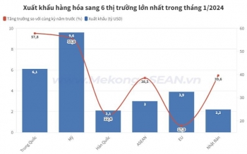 Việt Nam nhập siêu 0,7 tỷ USD từ ASEAN trong tháng 1/2024