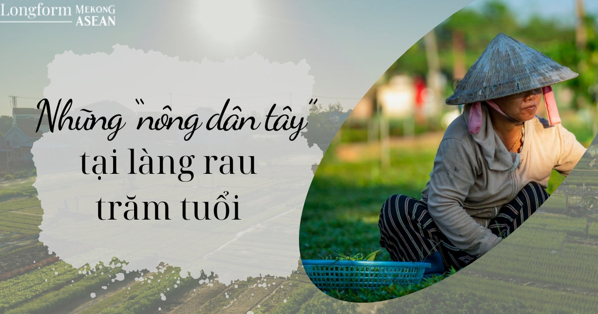 Những 'nông dân tây' tại làng rau trăm tuổi