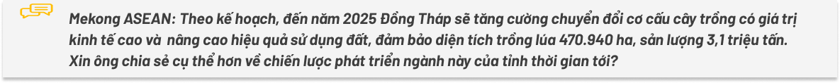 Đồng Tháp: Đồng bộ quy hoạch, tạo động lực phát triển cho năm mới