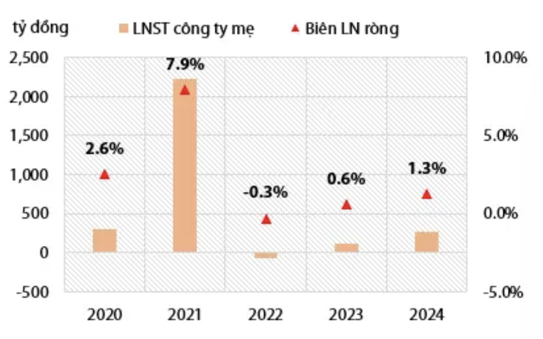 Lợi nhuận của NKG trong giai đoạn 2020-2024 theo dự đo&aacute;n của VDSC.