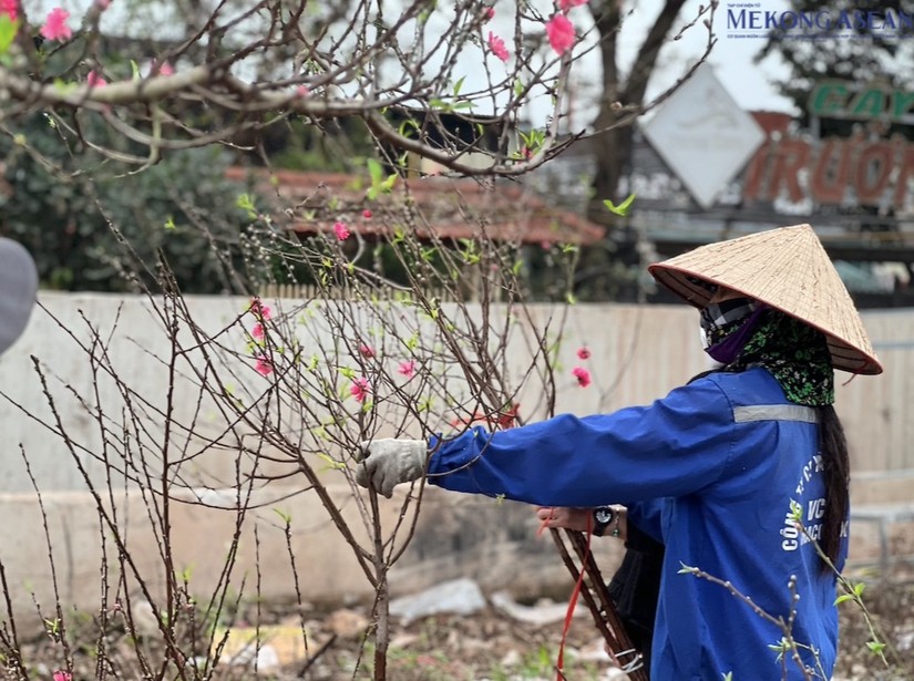 H&agrave; Nội: Đ&agrave;o cuối vụ &amp;amp;apos;đại hạ gi&aacute;&amp;amp;apos; vẫn ế kh&aacute;ch