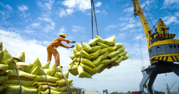 Gạo Việt Nam xuất sang ASEAN tăng 46% trong tháng đầu năm 2024