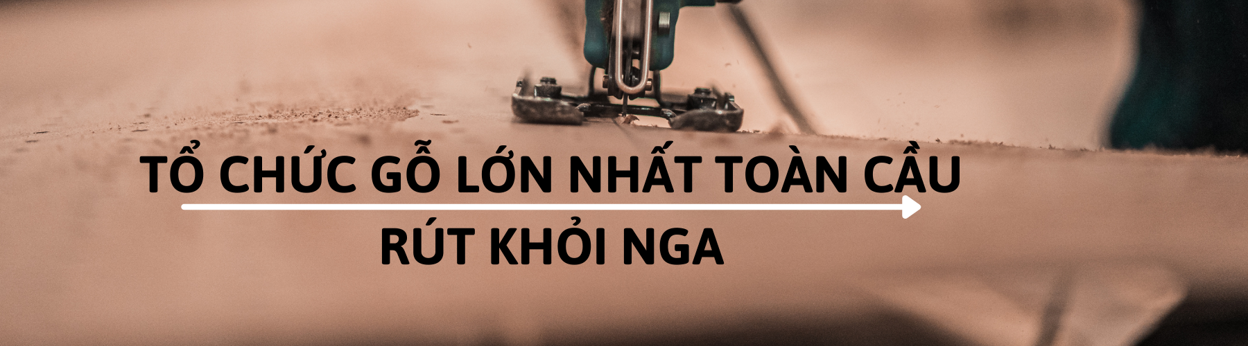 Chiến sự Nga - Ukraine khiến cạnh tranh gỗ nguyên liệu khốc liệt hơn