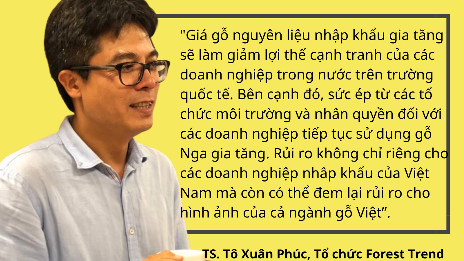 Chiến sự Nga - Ukraine khiến cạnh tranh gỗ nguyên liệu khốc liệt hơn