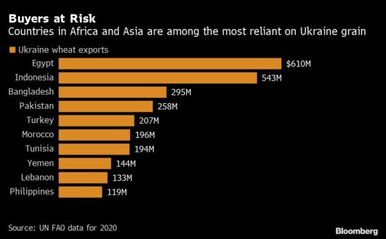 C&aacute;c nước ở Ch&acirc;u Phi v&agrave; Ch&acirc;u &Aacute; l&agrave; những nước phụ thuộc nhiều nhất v&agrave;o ngũ cốc Ukraine. Nguồn: FAO/Bloomberg