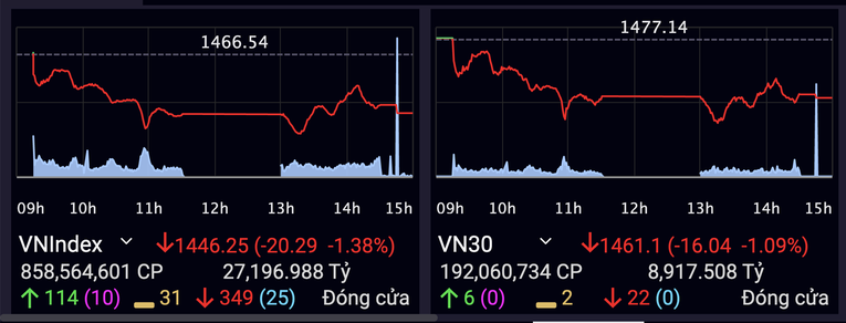 Lực b&aacute;n mạnh nhưng d&ograve;ng tiền bắt đ&aacute;y chưa xuất hiện khiến VN-Index lại giảm điểm s&acirc;u.