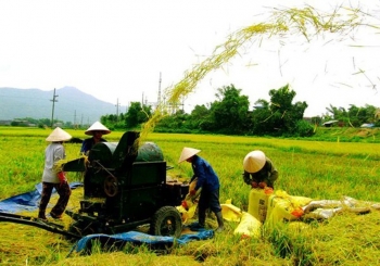 Thúc đẩy giải ngân vốn đầu tư công 3 chương trình mục tiêu quốc gia