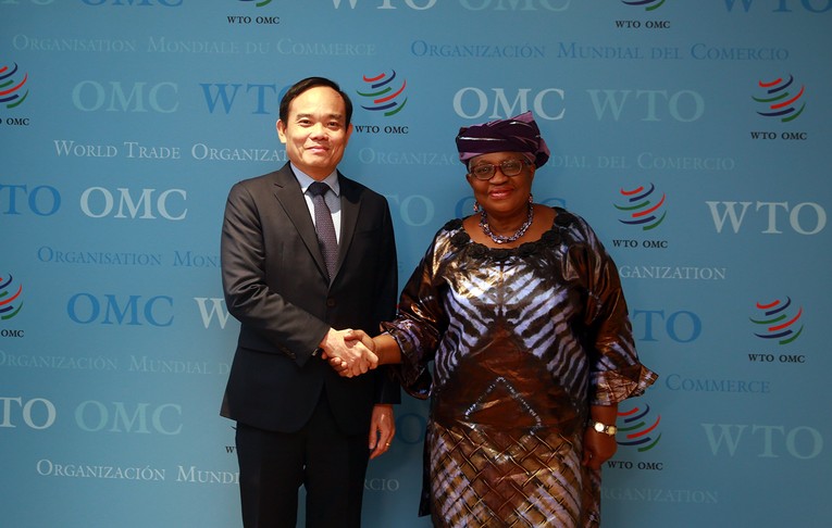 Ph&oacute; Thủ tướng Trần Lưu Quang v&agrave; Tổng Gi&aacute;m đốc WTO Okonjo-Iweala. Ảnh: VGP