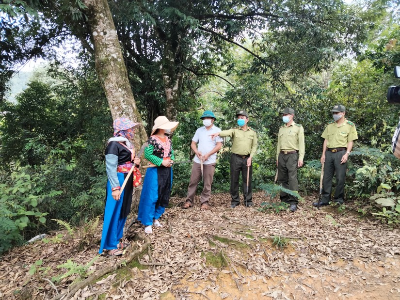 Cần c&oacute; hướng đi cho 3,3 triệu ha rừng chưa c&oacute; chủ. Ảnh: UBND Lai Ch&acirc;u.