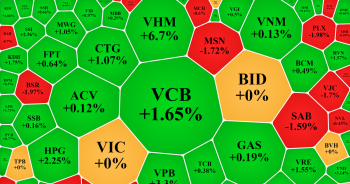 VN-Index hồi phục với thanh khoản thấp, cổ phiếu của Vinhomes tăng sát trần