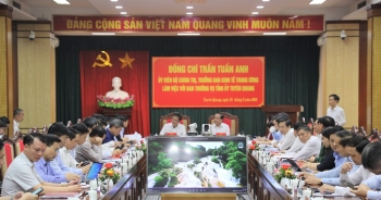 Xây dựng Tuyên Quang thành trung tâm sản xuất chế biến gỗ