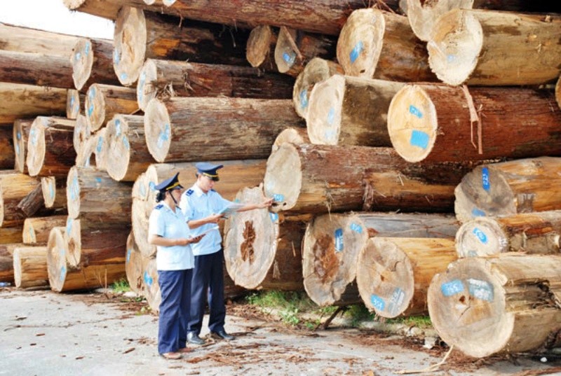 Kiểm so&aacute;t chặt chẽ đầu v&agrave;o gỗ nguy&ecirc;n liệu. Ảnh minh họa.