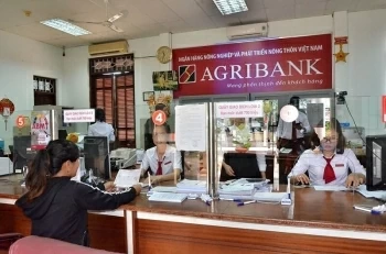 Nhóm Big 4: Agribank là ngân hàng duy nhất báo lãi trước thuế giảm nhẹ