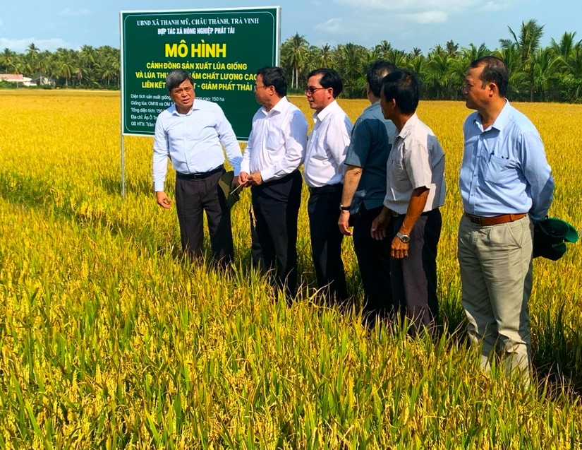 Đo&agrave;n c&ocirc;ng t&aacute;c Bộ N&ocirc;ng nghiệp v&agrave; Ph&aacute;t triển N&ocirc;ng th&ocirc;n khảo s&aacute;t tại đồng l&uacute;a HTX Ph&aacute;t T&agrave;i sử dụng NPK Ph&uacute; Mỹ. Nguồn: PVFCCo.