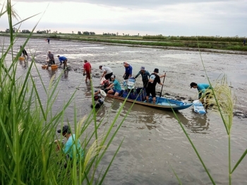 Nông nghiệp thuận thiên tại ĐBSCL: Vừa bảo vệ thiên nhiên vừa phát triển kinh tế