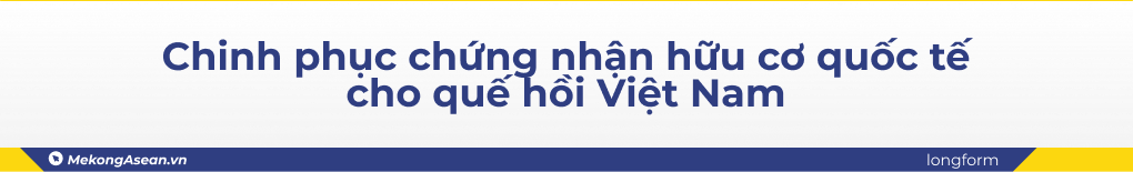 Xây dựng 'con đường hương liệu' quốc tế cho Việt Nam bằng quế hồi hữu cơ