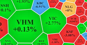 VN-Index giảm tiếp 20 điểm, cổ phiếu của Vingroup ngược dòng