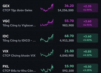 VN-Index lấy lại 22 điểm, hai họ Gelex và FLC đủ màu xanh tím