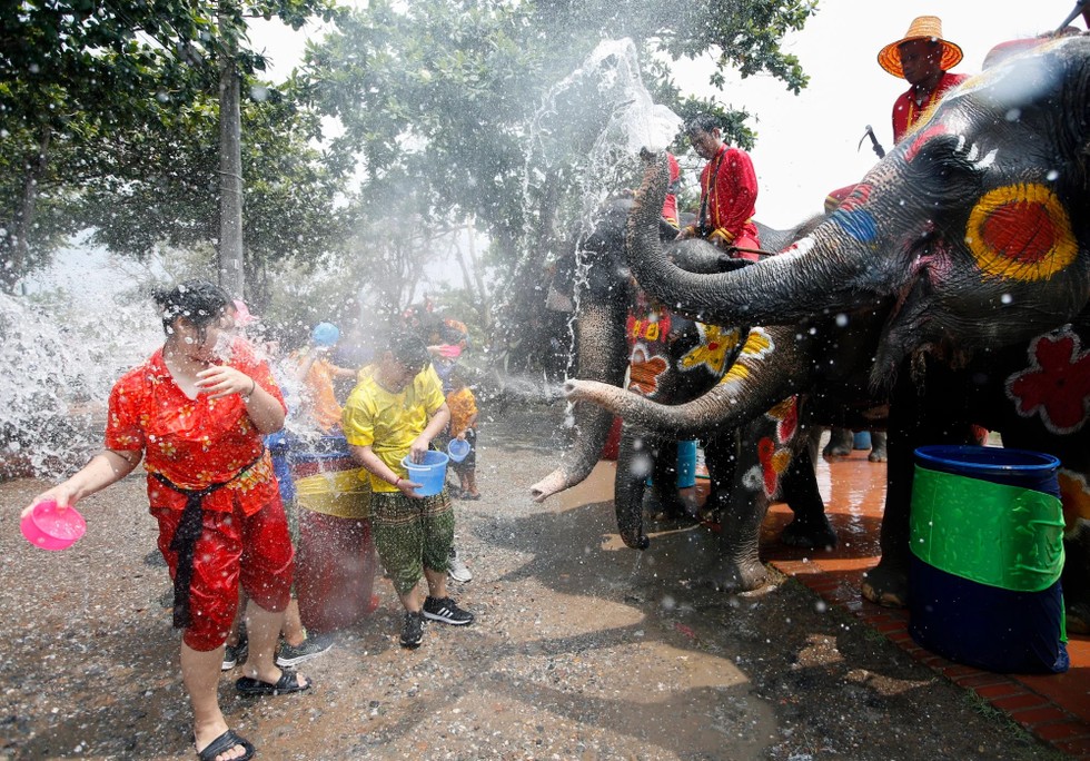 Voi cũng tham gia v&agrave;o tết Songkran tại Th&aacute;i Lan. Ảnh: EPA-EFE