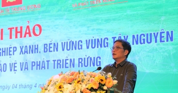 Tây Nguyên: Phát triển kinh tế gắn với phát triển rừng