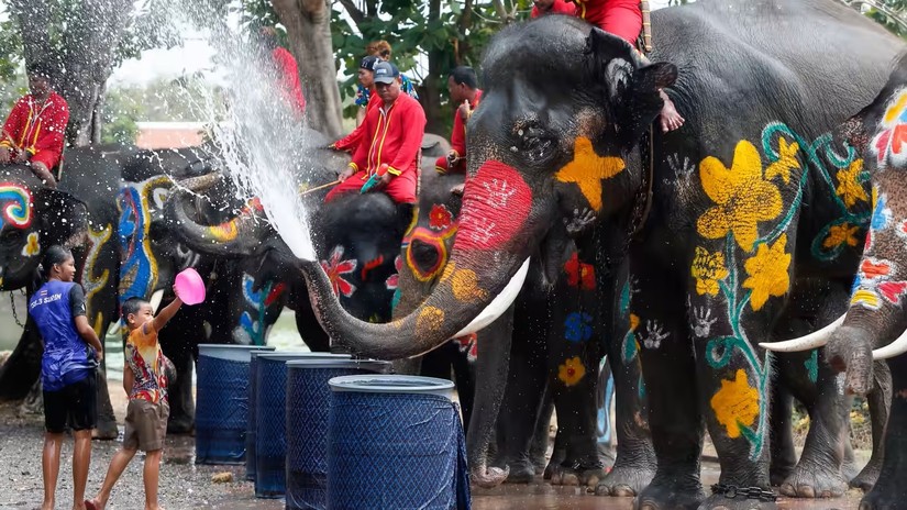 Trẻ em v&agrave; voi tại lễ hội t&eacute; nước Songkran tại tỉnh Ayutthaya, Th&aacute;i Lan. Ảnh: Getty Images