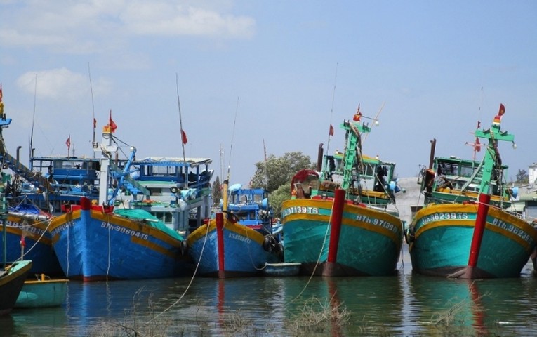 Thủ tướng ph&ecirc; b&igrave;nh 4 tỉnh: B&igrave;nh Định, Kh&aacute;nh H&ograve;a, B&igrave;nh Thuận, Ki&ecirc;n Giang vẫn c&oacute; t&agrave;u c&aacute; vi phạm IUU. Ảnh: TTXVN.