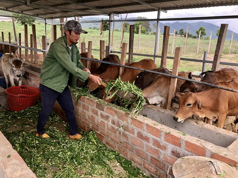 Sắp c&oacute; cuộc &amp;amp;amp;quot;cuộc đại di dời trong sản xuất n&ocirc;ng nghiệp&amp;amp;amp;quot;.