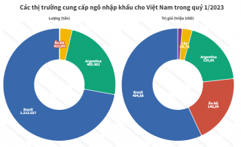 Argentina là một trong 5 thị trường cung cấp ngô cho Việt Nam