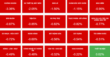 Nhóm chứng khoán kéo VN-Index đi xuống, HPG vững vàng nhờ kết quả quý 1