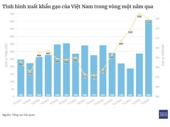 Quý đầu năm 2023, ngành gạo đón nhiều tín hiệu tích cực